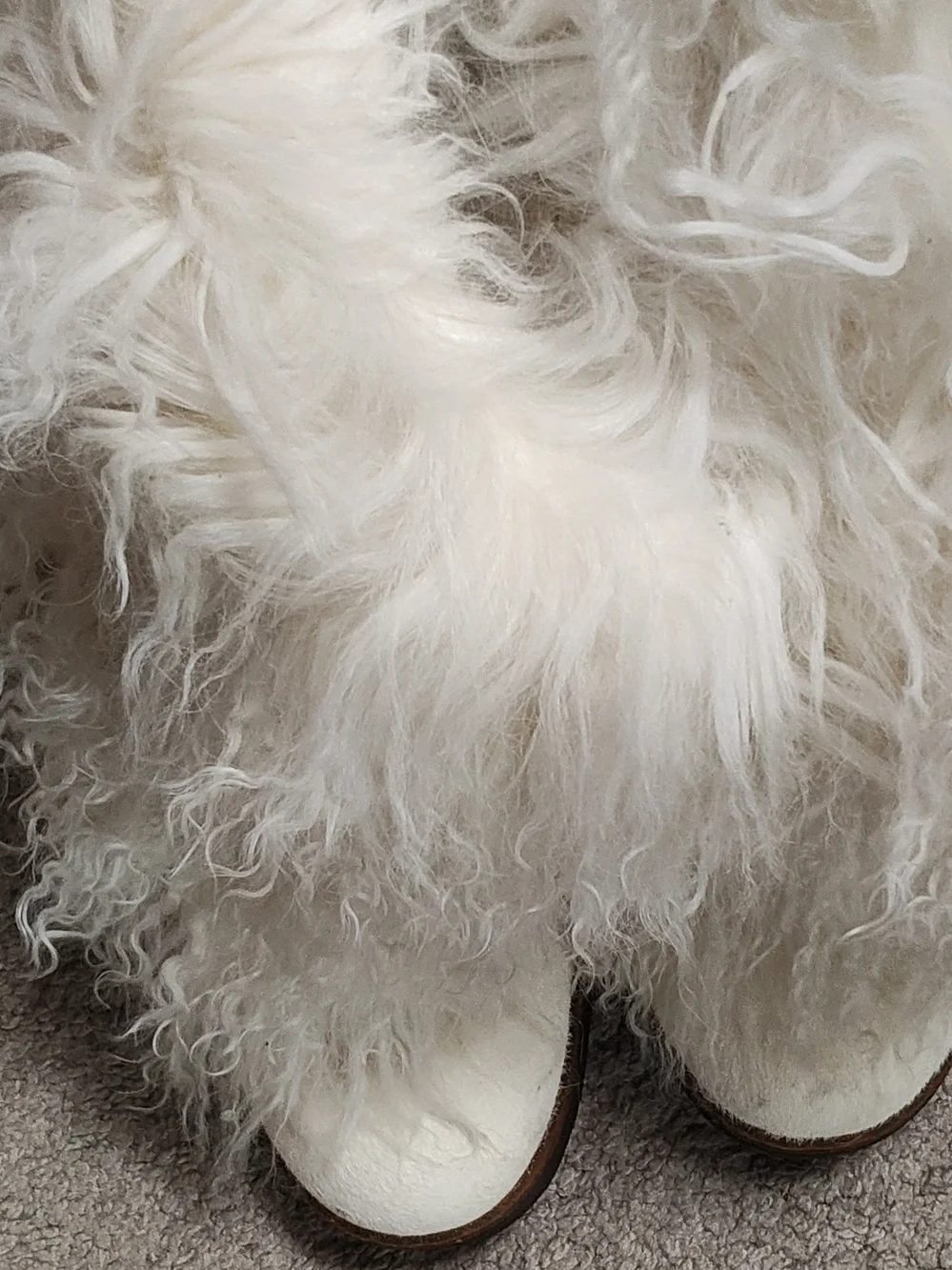 Bearpaws Curly Lamb Hair Fur-Trim Winter Boots - Cream -8